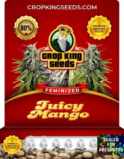 Juicy Mango