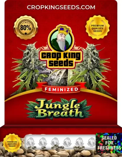 jungle-breath-image