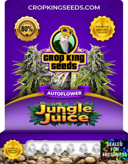jungle-juice-autoflower-image