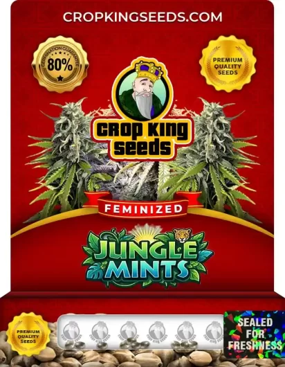 jungle-mints-image
