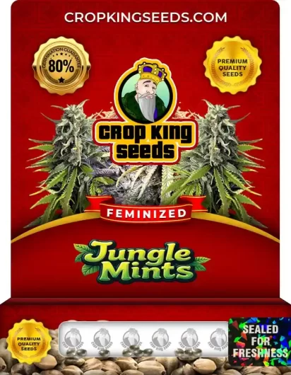 junior-mints-image