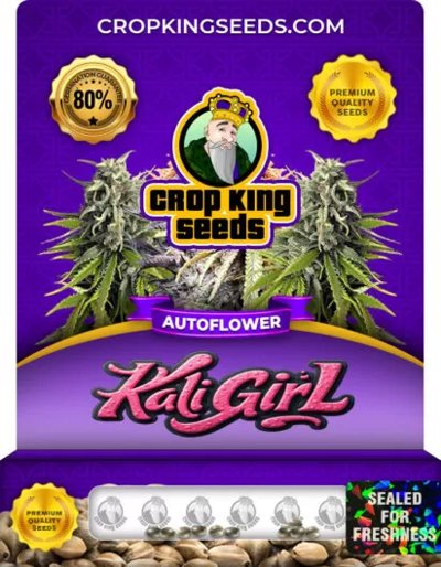 Kali Girl Autoflower
