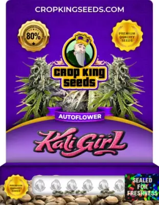 Kali Girl Autoflower
