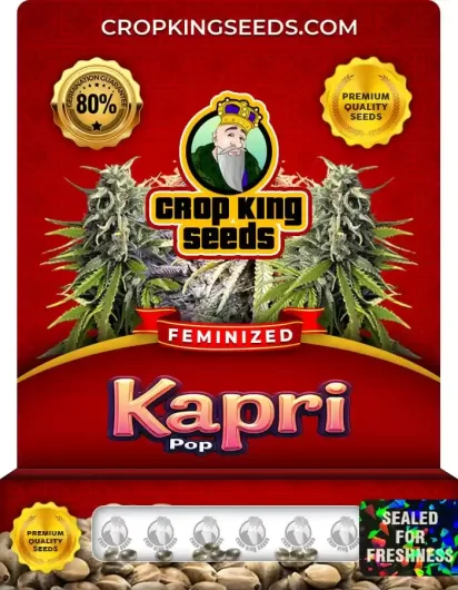 kapri-pop-image