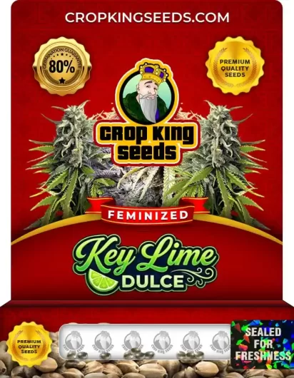 key-lime-dulce-image