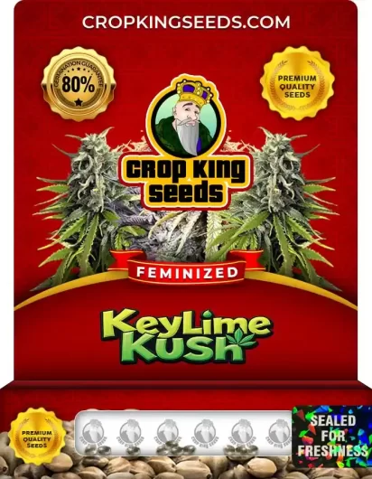 key-lime-kush-image