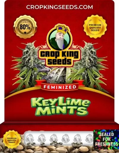 Key Lime Mints