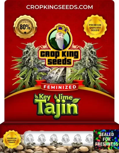 key-lime-tajin-image