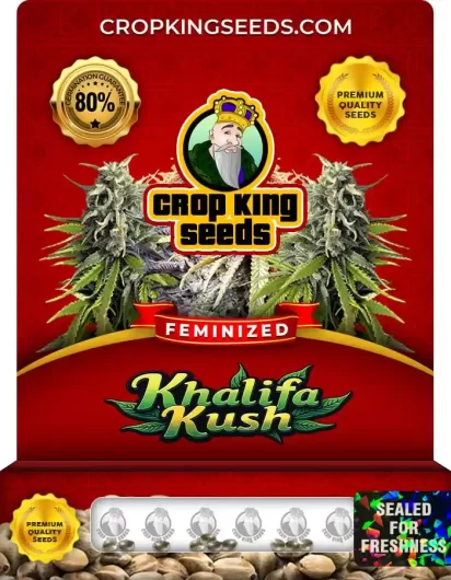 khalifa-kush-image