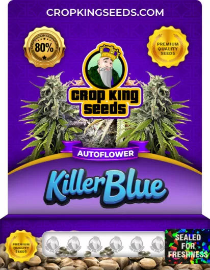 killer-blue-autoflower-image