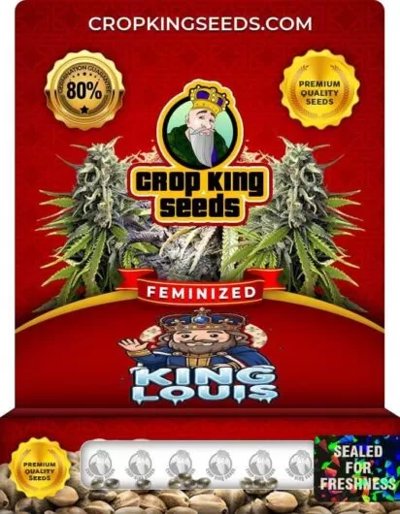 King Louis