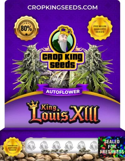 King Louis XIII Autoflower