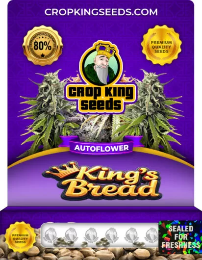 king’s-bread-autoflower-image