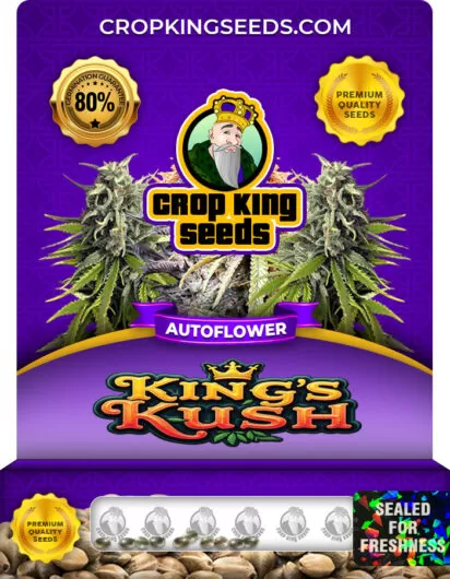 king’s-kush-autoflower-image