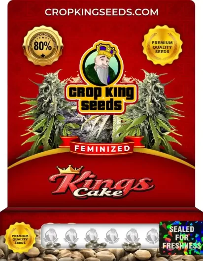 kings-cake-image
