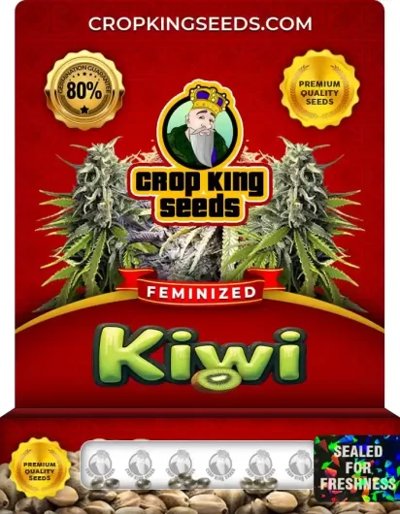 Kiwi