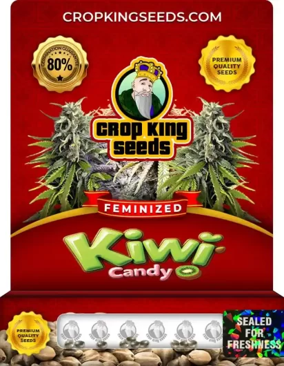 kiwi-candy-image