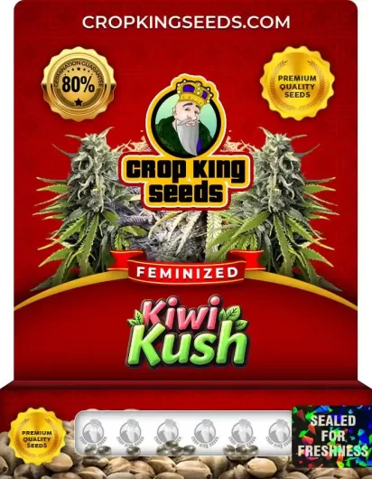 kiwi-kush-image