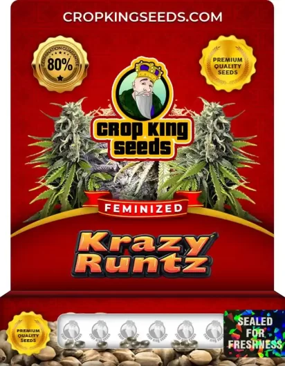 krazy-runtz-image