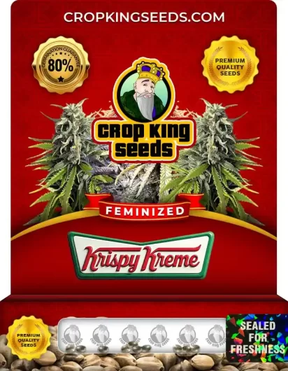krispy-kreme-image