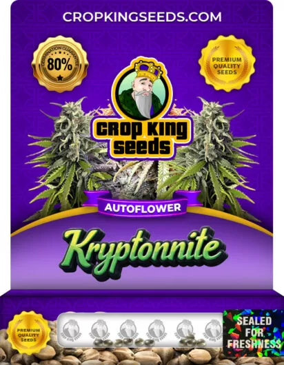 kryptonite-autoflower-image
