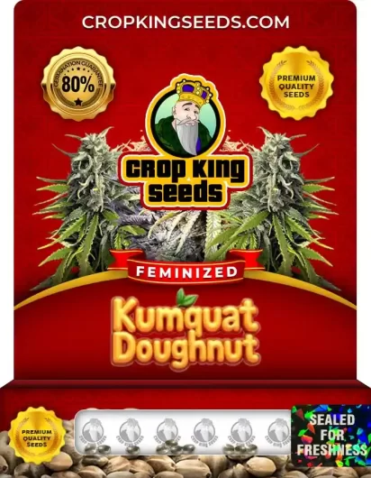 kumquat-doughnut-image