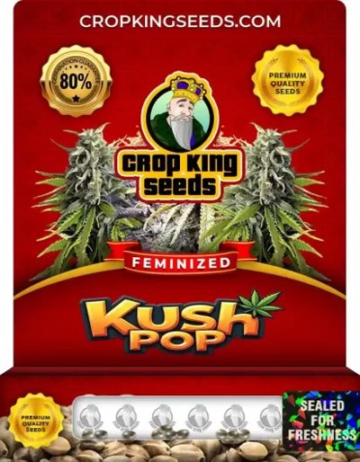 Kush Pop