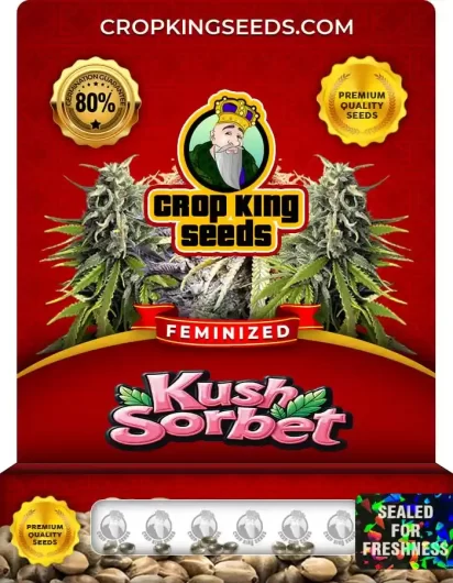 kush-sorbet-image