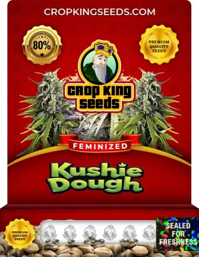 kushie-dough-image