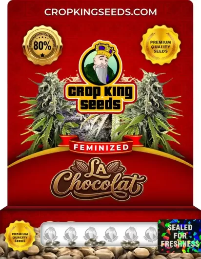 la-chocolat-image