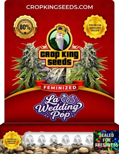la-wedding-pop-image