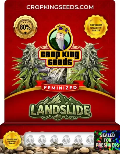 landslide-image