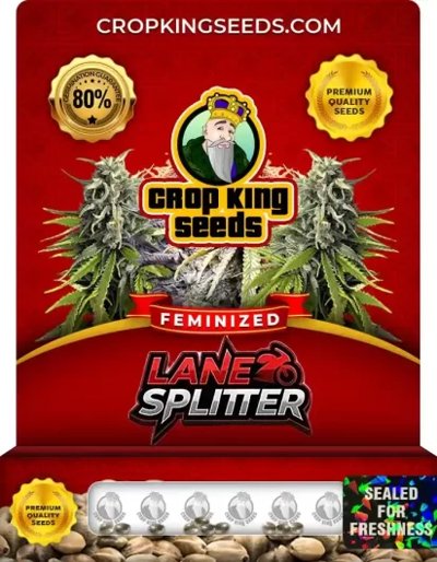 Lane Splitter