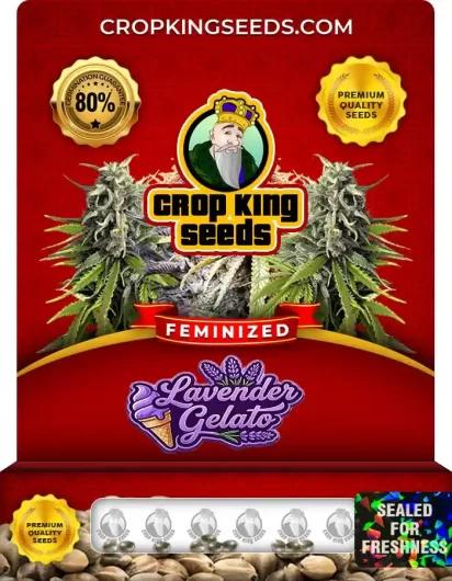 lavender-gelato-image