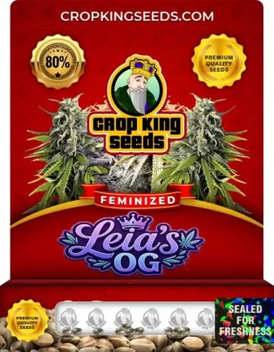 Leia’s OG