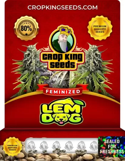 lem-dog-image