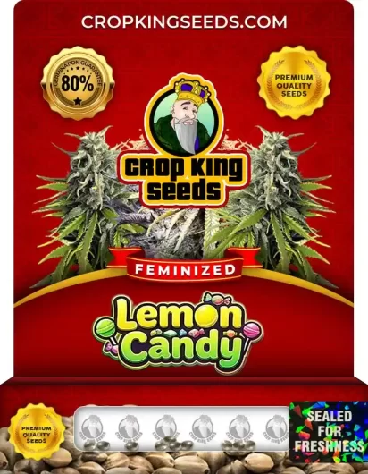 lemon-candy-image