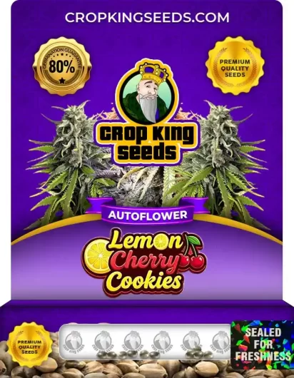 lemon-cherry-cookies-autoflower-image