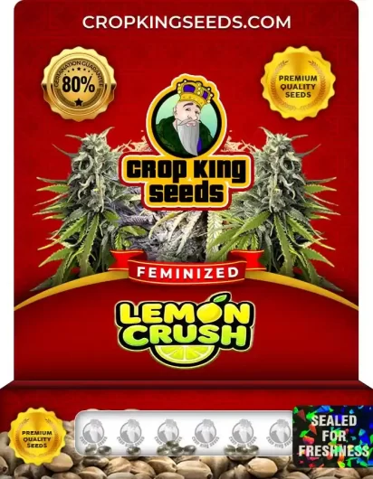lemon-crush-image