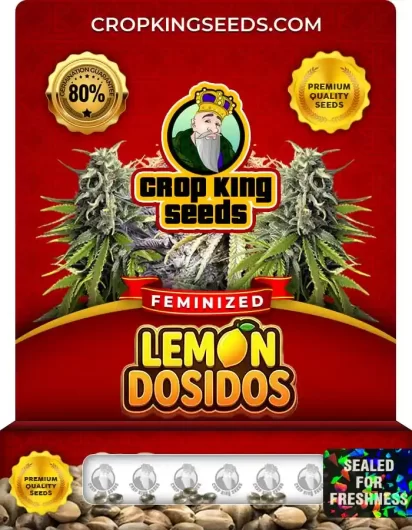 lemon-dosidos-image
