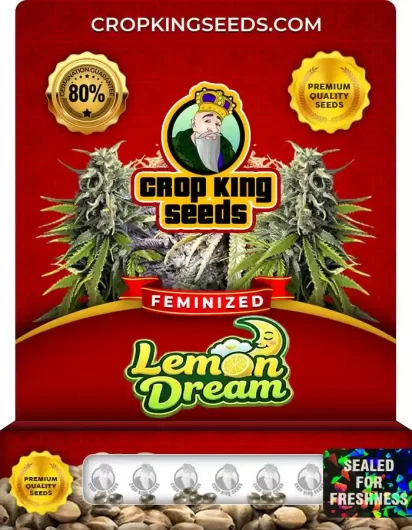 lemon-dream-image