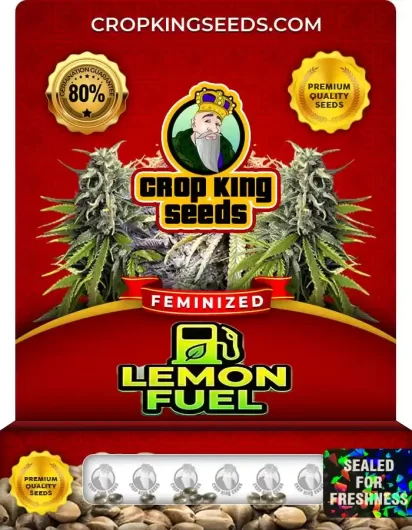 lemon-fuel-image