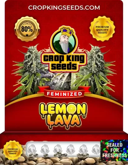 lemon-lava-image