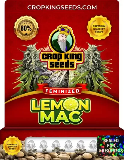 lemon-mac-image