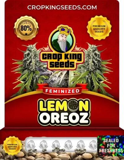 Lemon Oreoz