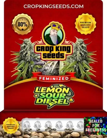 lemon-sour-diesel-image