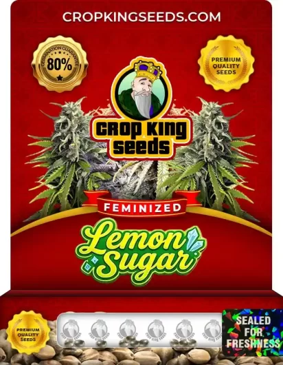 lemon-sugar-image