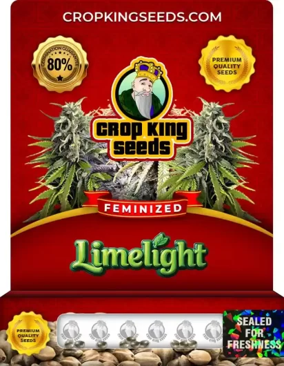 limelight-image