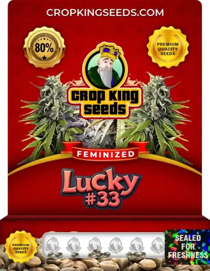 lucky-33-image