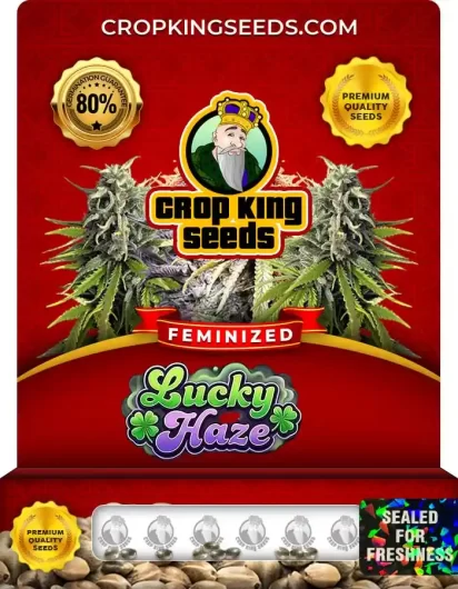 lucky-haze-image